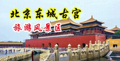 插淫妇的骚穴BB中国北京-东城古宫旅游风景区